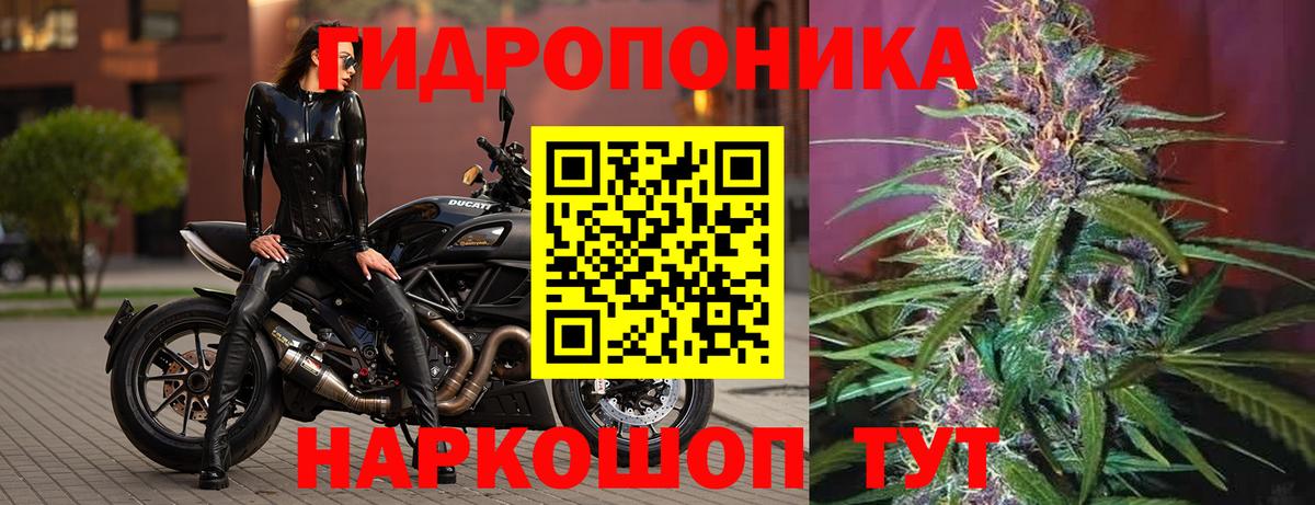 Канабис White Widow Балахна